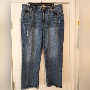 Democracy Women's Dark Wash Whiskered Distressed Raw Hem Blue Jeans Size 16